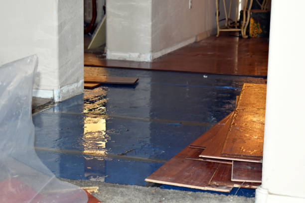 Professional Flood Damage Restoration technician working in Phippsburg, ME